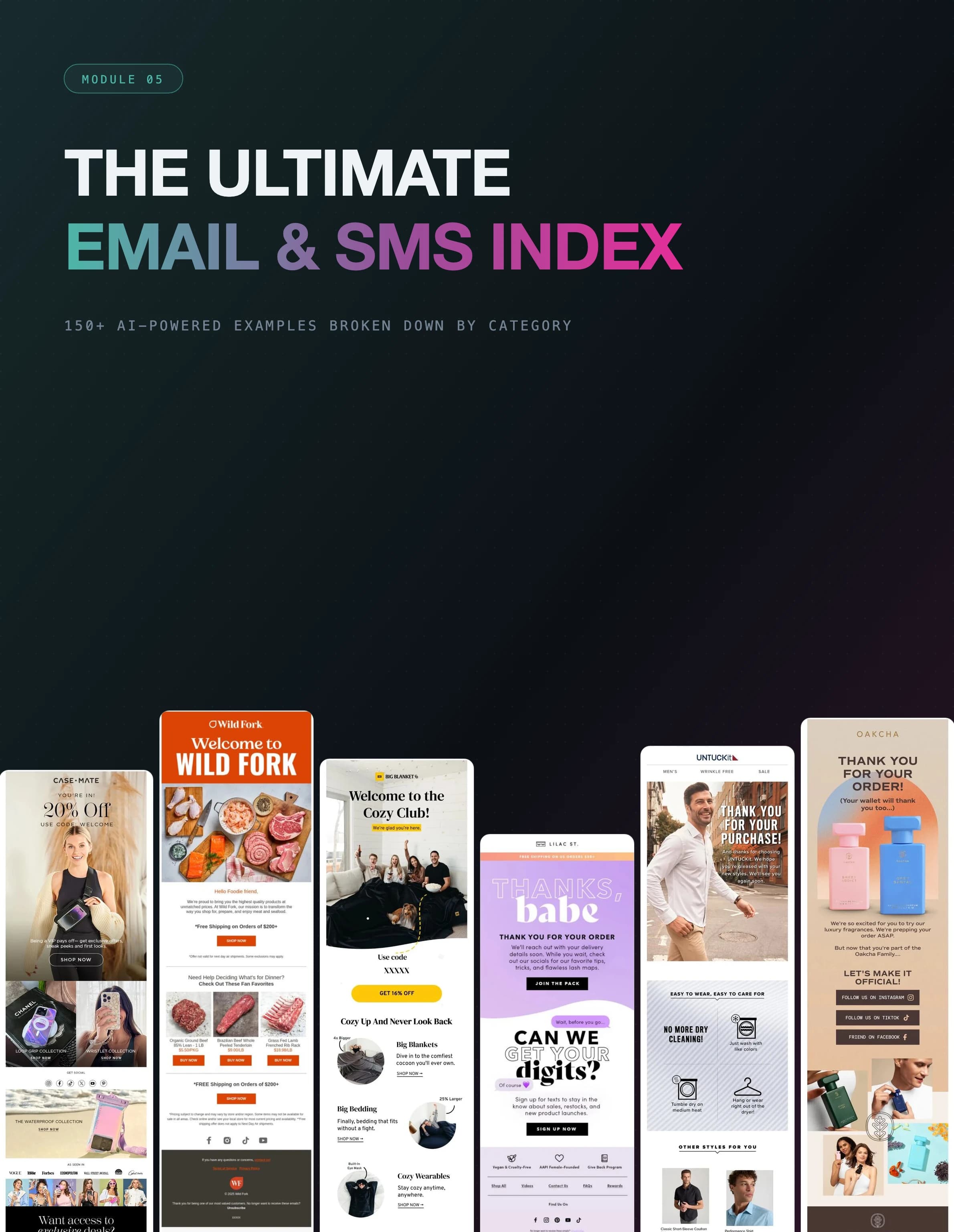 Module 05 cover: The Ultimate Email and SMS Index